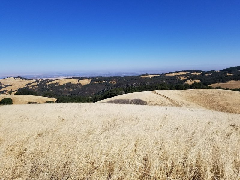 The Delta from Morgan Territory Regional Preserve.