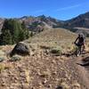 Riding up the creek