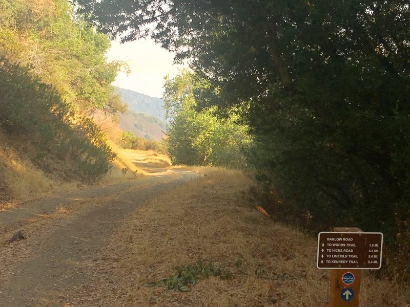 Barlow Road