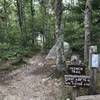 Intersection of the French Trail and West Side Trail.
