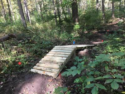 Mountain Bike Trails near Hayes Arboretum