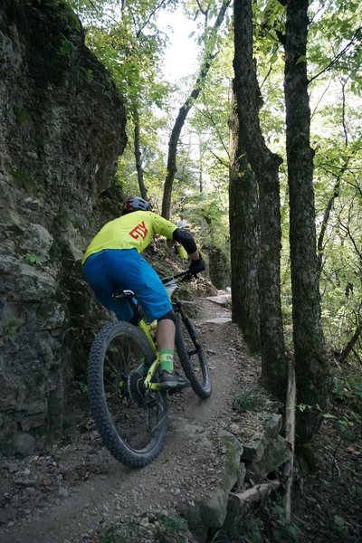 fat bike ozark trail rock