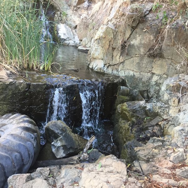 Whiptail Loop Trail Mountain Bike Trail Lake San Marcos California