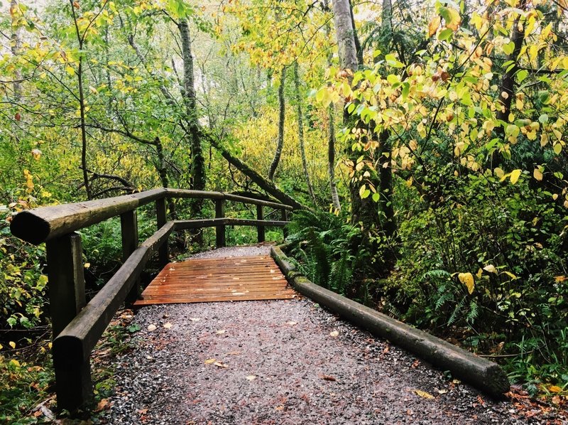 Connelly Creek Trail