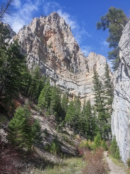 Trout Creek Canyon awesomeness