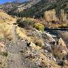 Trail along the Truckee River