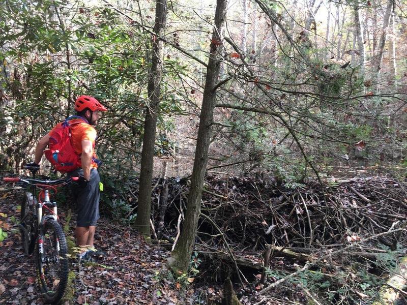 bear creek mountain bike trail