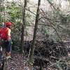 Beaver Dam