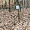 Trail splits here to the right towards Loop B or you can go left towards Loop A to cut off 2.5 miles of full loop.