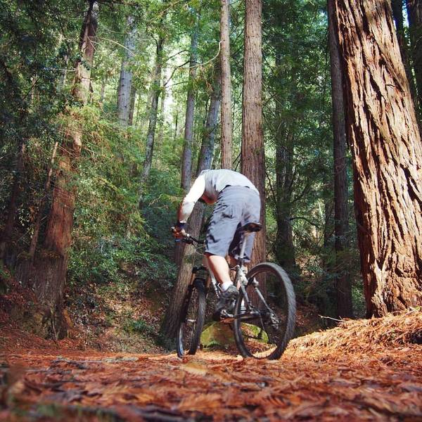 El Corte Madera Trail Map El Corte Madera Open Space Loop Mountain Bike Trail, Portola Valley,  California