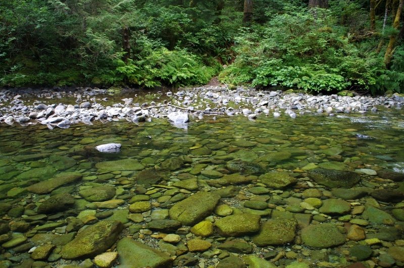 The ford across Siouxon Creek.