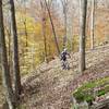 Little undergrowth makes for great views through the woods. Hit it before the leaves fall, though, or be prepared for a slower, more technical ride.