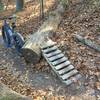 1 of the larger downed tree ramps...they are well constructed and flow very well...hit them all!
