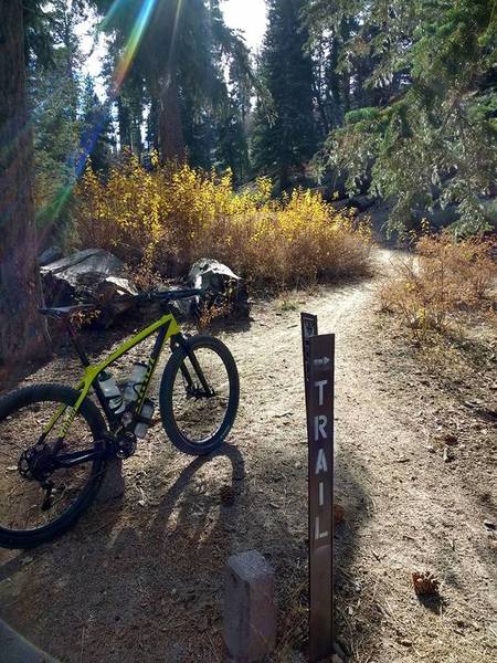 Hanna Flats Singletrack