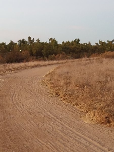 Coast to Crest Trail - North Shore Lake Hodges