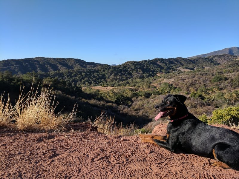Ventura River Preserve Lollipop