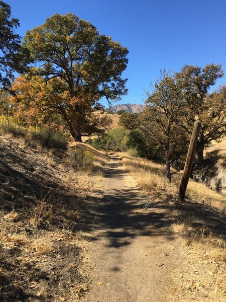 Singletrack to Pipe