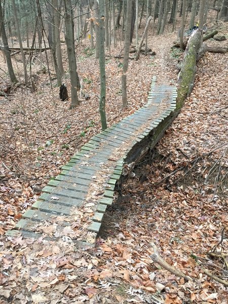 lippman park mountain biking