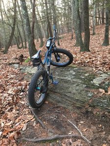 lippman park mountain biking