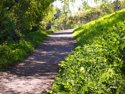 Mountain Bike Trails Near Garin Dry Creek Pioneer Regional Parks