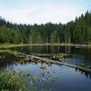 Lily Lake