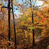 Peak Color, No Crowds