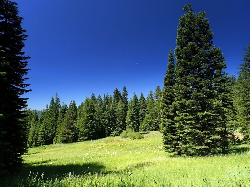 Brickpile Road NF-2250