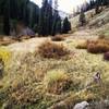 Riding along the North Fork of Bear Creek