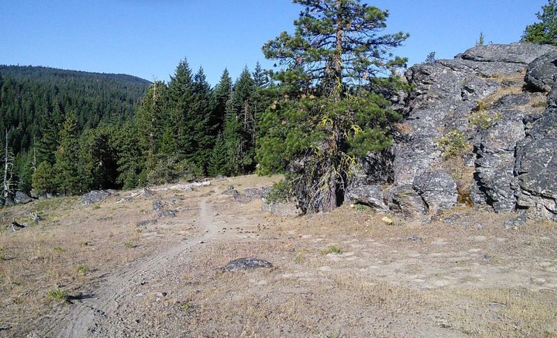 Fifteen Mile Trail #456