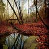 Autumn colors