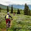 Returning to the Jackknife Creek trailhead.