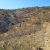 Steepest climbing section.