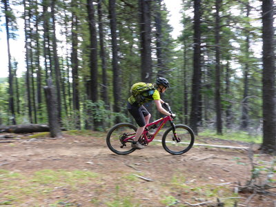 moose mountain bike