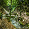 Beautiful singletrack climbs the side of the val Muggio (valley)