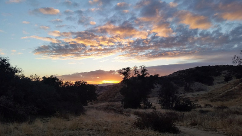 Sunset on Oakmont Park Trail