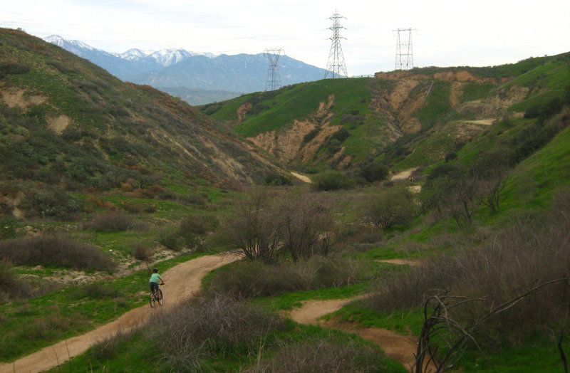 Scott Canyon Trails