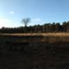 A place to rest. Open area in the forest. Panorama.
