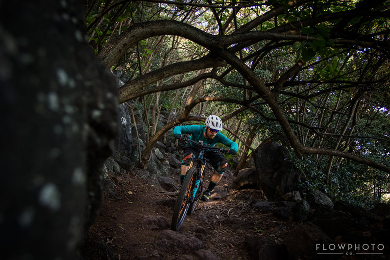 mountain biking flats