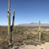 View from the hilltop of the Catalina Mountains.
