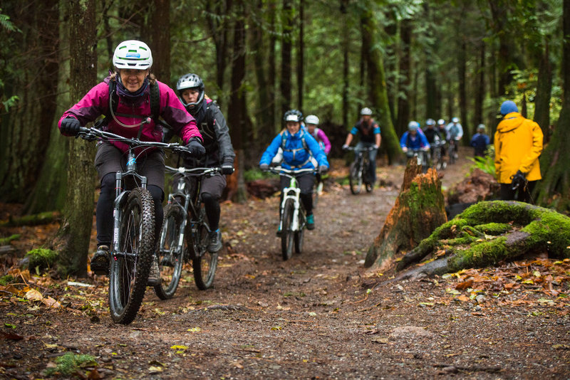 Padden Creek Trail