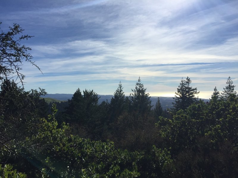 View so the coast from Manzanita Trail.
