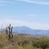 Looking east at thee Superstitions.