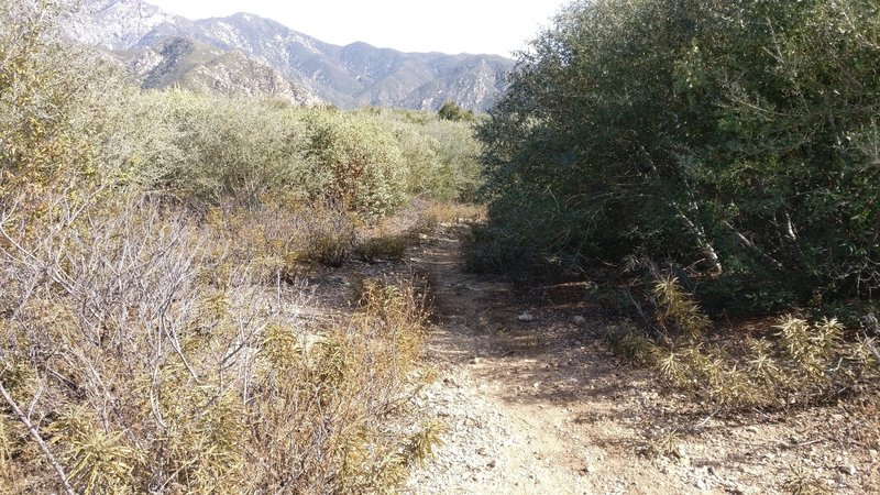 Enter Cucamonga Truck Trail