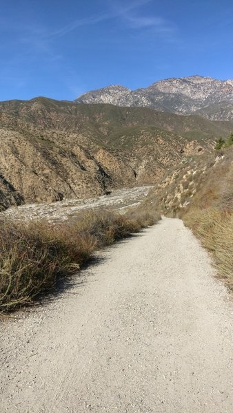 Cucamonga Creek
