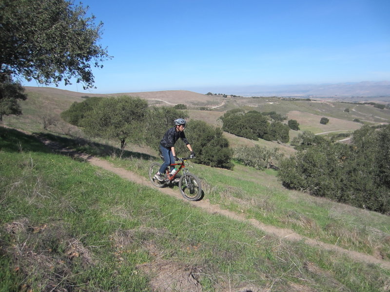 Easy cruising down the Solomon Trail.