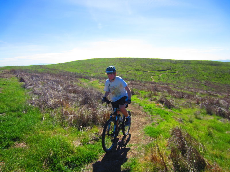 Red Tail Trail