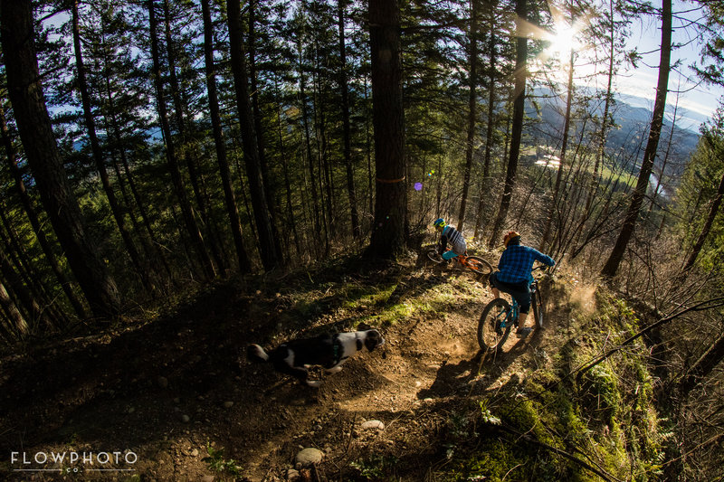Steep wooded drop into the clear cut!