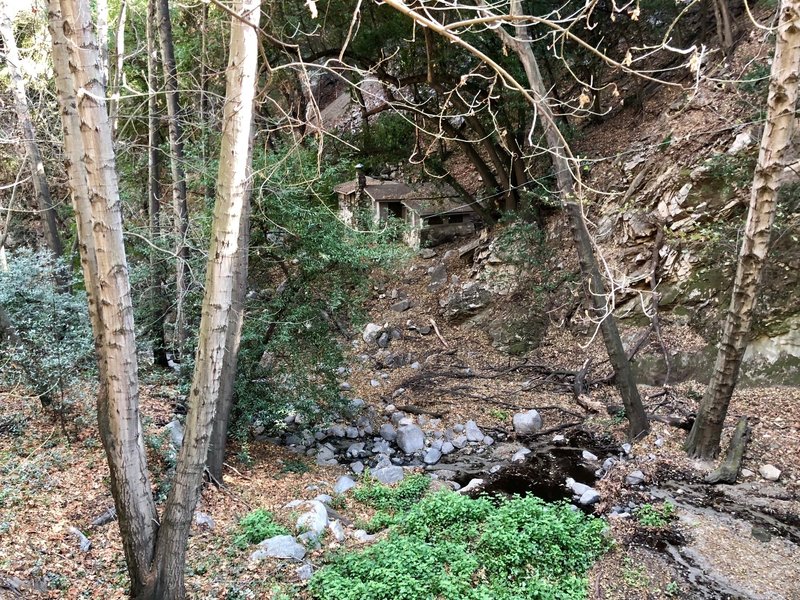Winter Creek Loop.