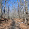 Nice day on Carrick Road and the Perimeter trail.