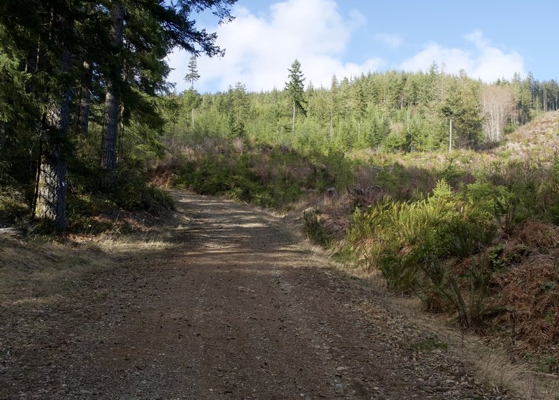Green Mountain Road (GM-6)